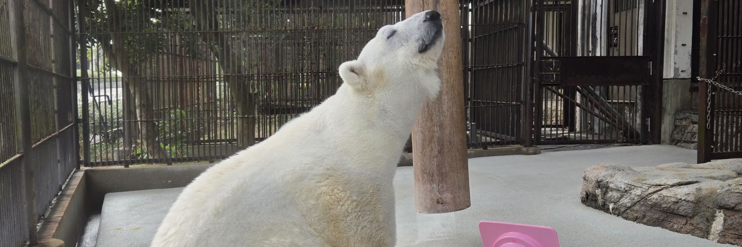 つぐみ🐾 banner