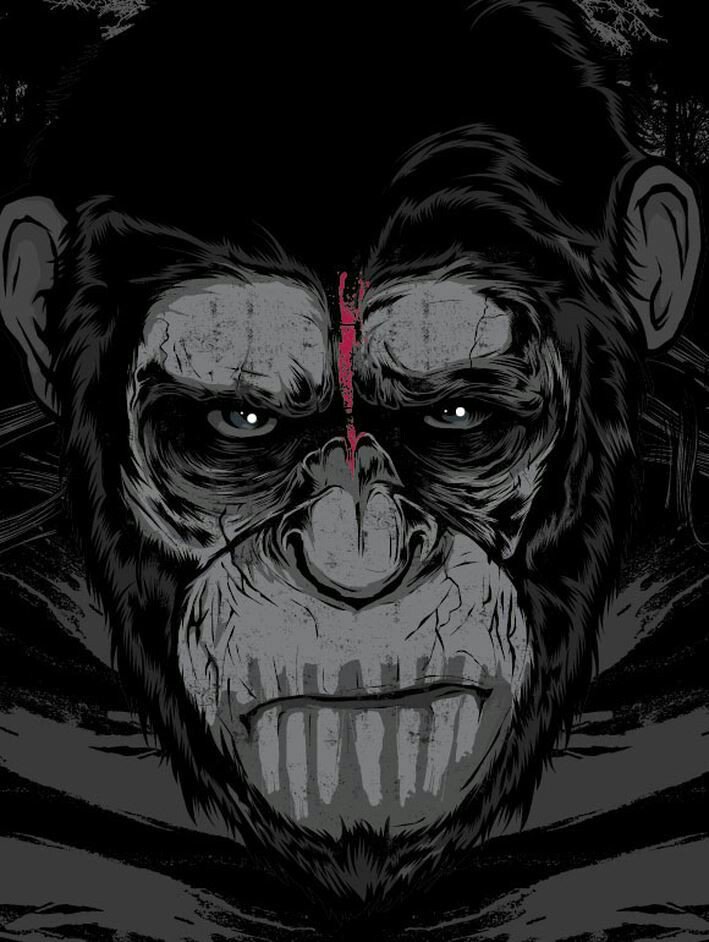 kingofgolds's profile banner image