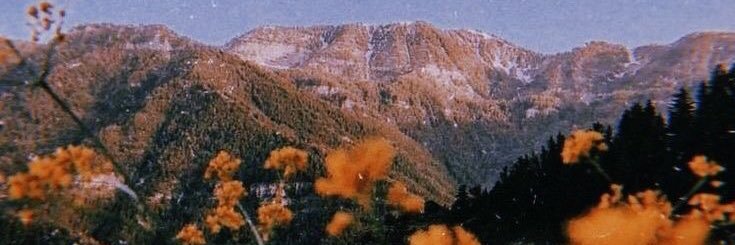 🌻 banner