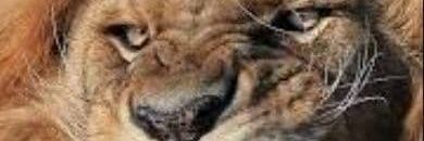 techNartplug's profile banner image