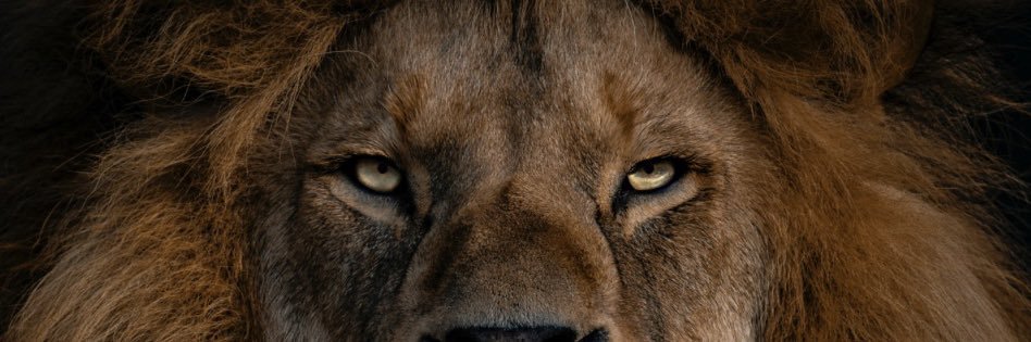 AnthTheKnee's profile banner image