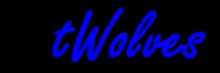 tWolves banner