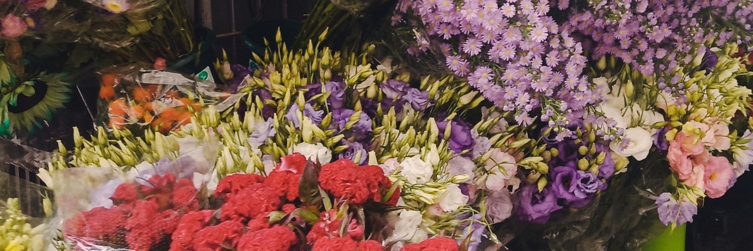 mia_iturri's profile banner image