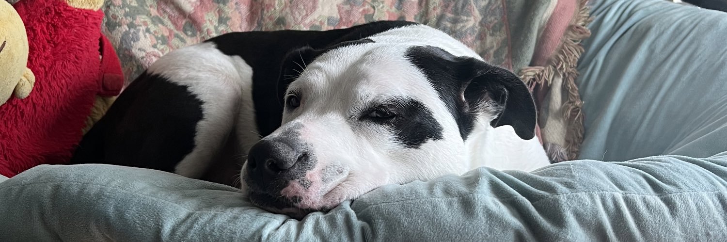 queenoslay's profile banner image