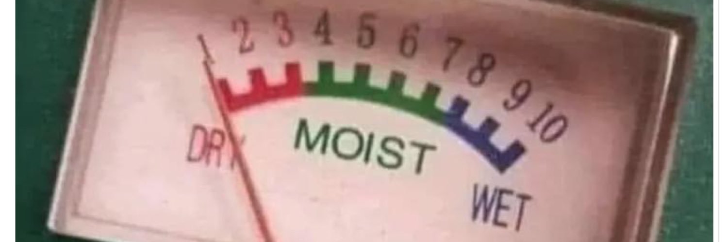 SteamedDisorder's profile banner image