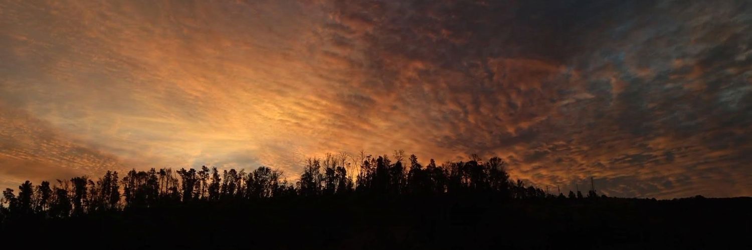 𝑺𝒉𝒂𝒓𝒐𝒏 🫧🦦 banner