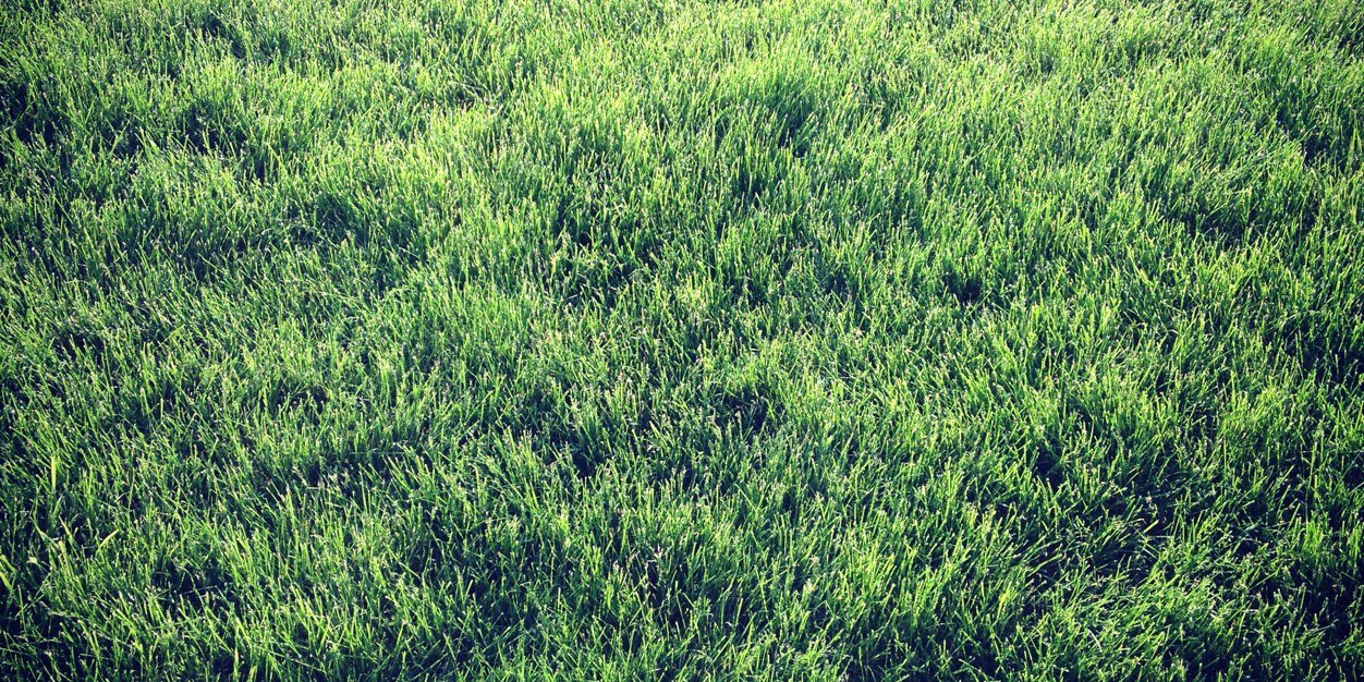 peter4jx's profile banner image