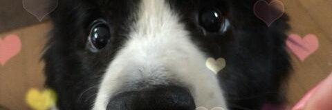 ___chome's profile banner image