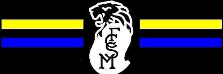 zibi 🇺🇦fcsm28 banner
