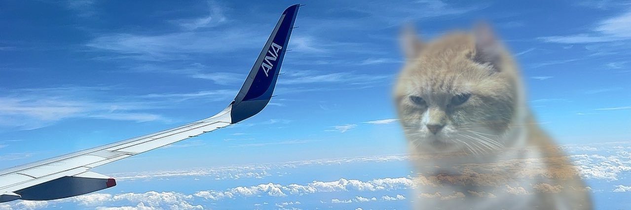 grgr56561's profile banner image