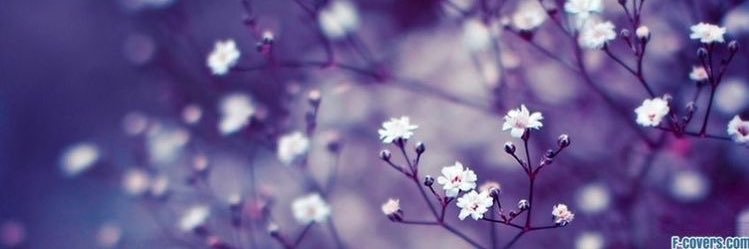 OhStacyy's profile banner image