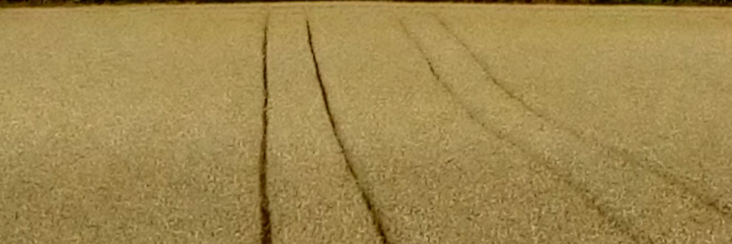 heatherframed's profile banner image