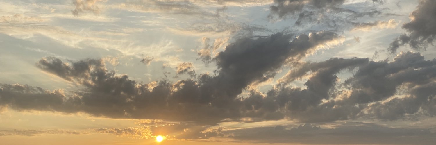 cccmalou's profile banner image