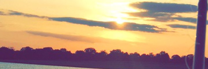 MatilynJurica's profile banner image