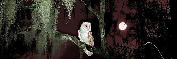 vifir_ Profile Banner