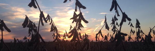 WhitneyTolzin Profile Banner