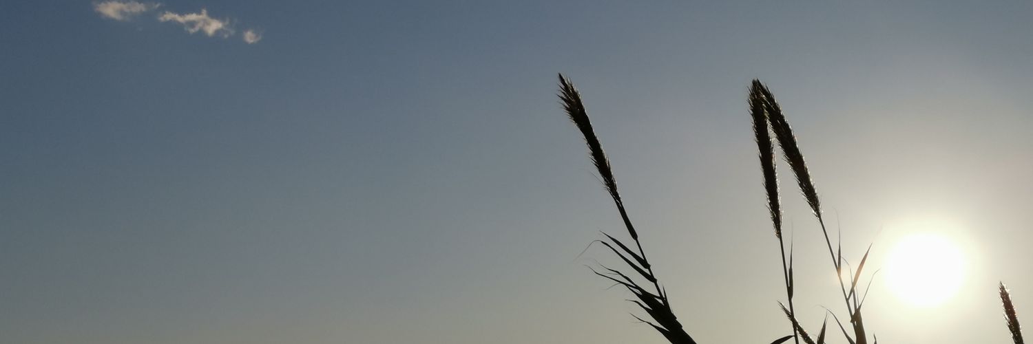 LutzBosing's profile banner image