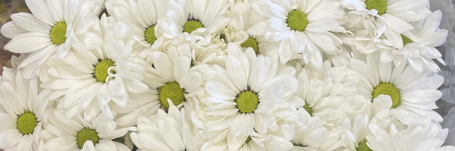 a.🎀 banner