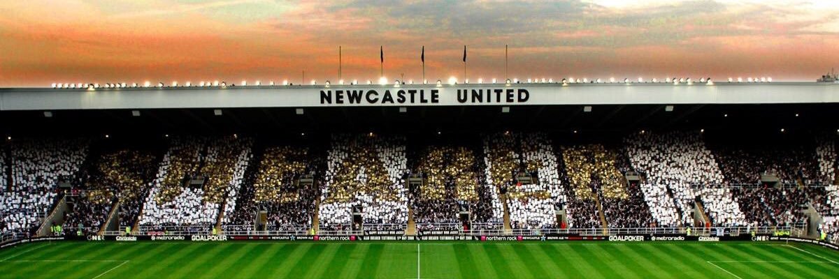 OnlyToonArmy's profile banner image