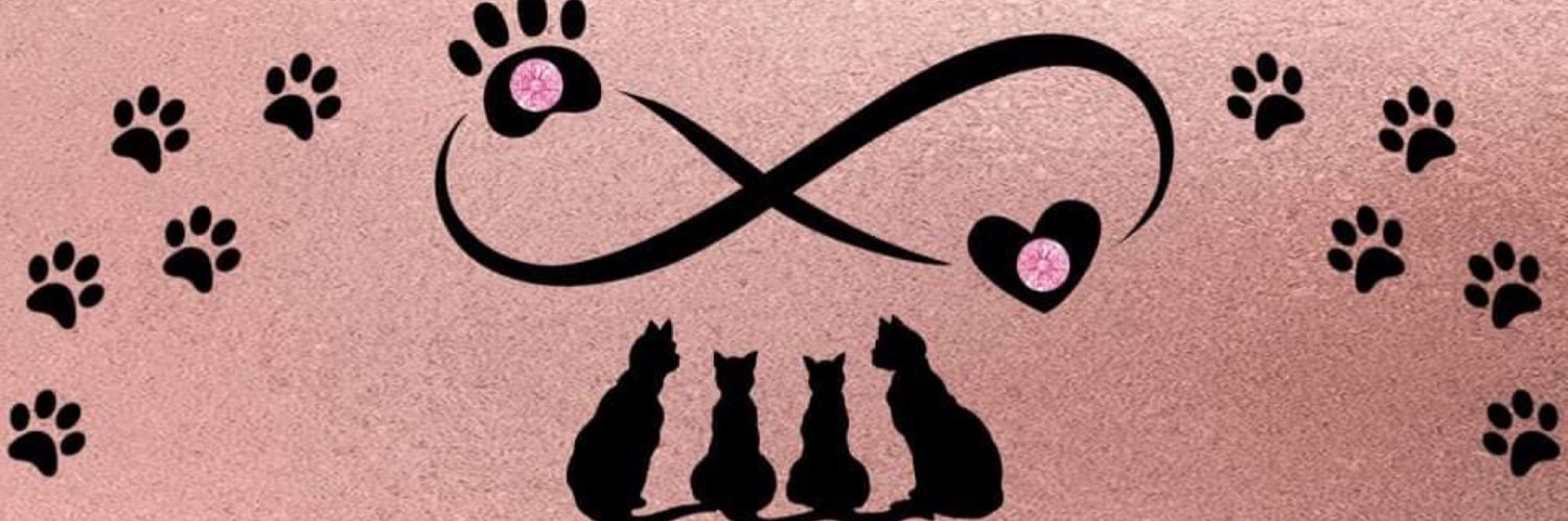 kathyktr's profile banner image