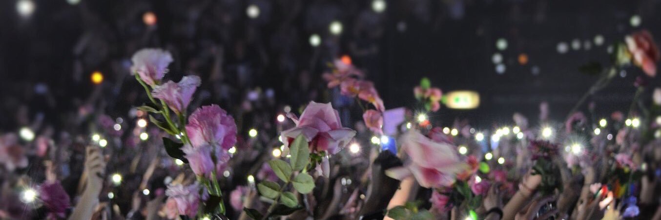 trustmeljp's profile banner image