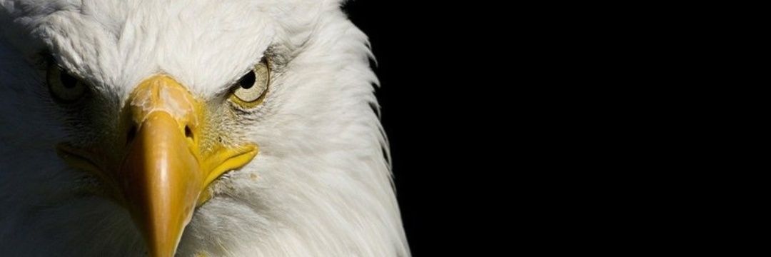 onurugurlu3's profile banner image