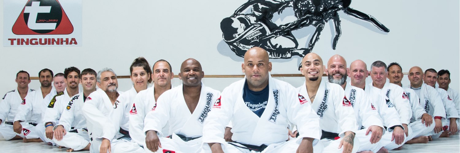 tinguinhabjj's profile banner image