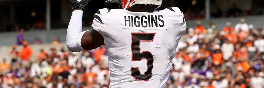 TFuifui's profile banner image