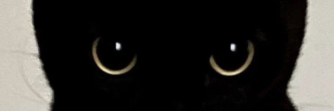 JariyaBoonprase's profile banner image