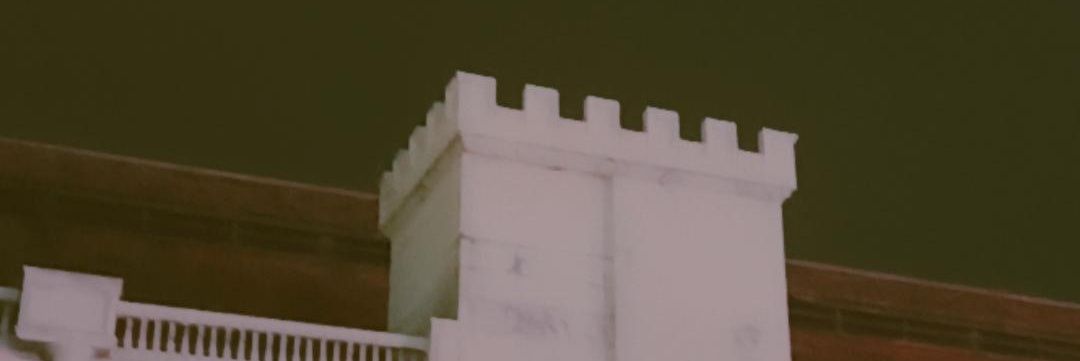 tamoy banner