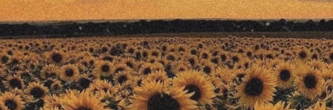 maceekcobb's profile banner image