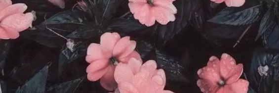ericabaker9623's profile banner image