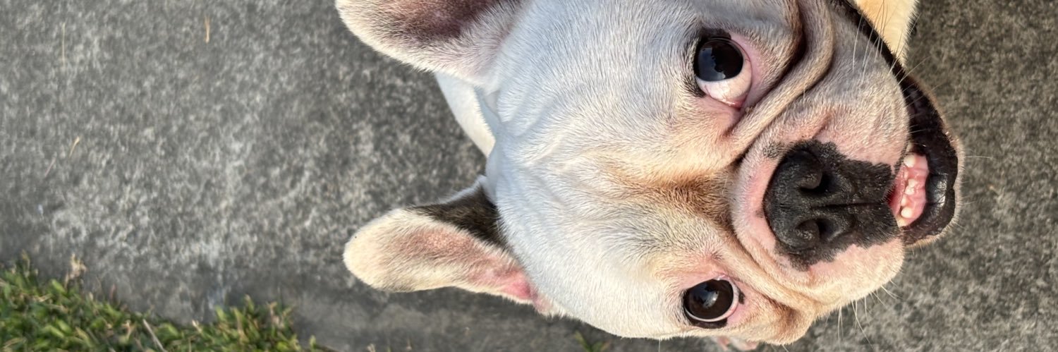 hvge_'s profile banner image