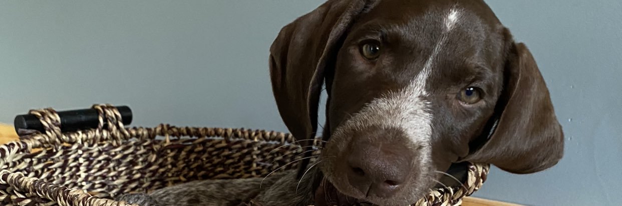 hetrickdanielle's profile banner image