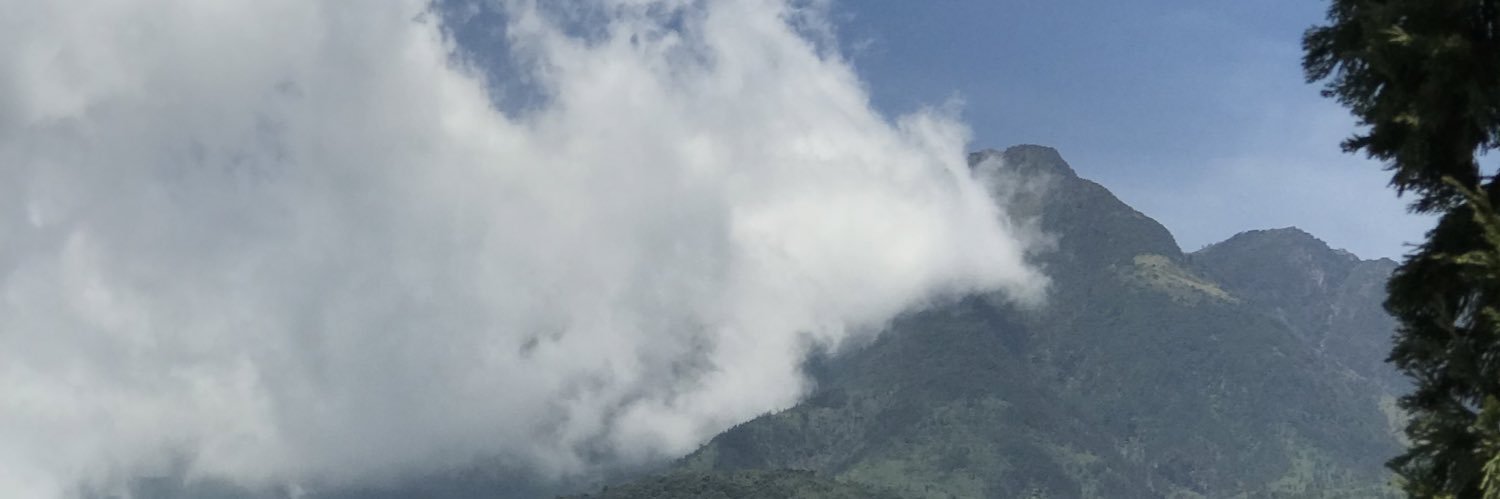 eslemonteea's profile banner image