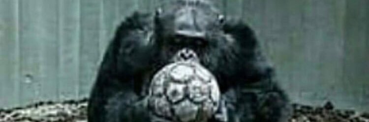 Felimancuso's profile banner image