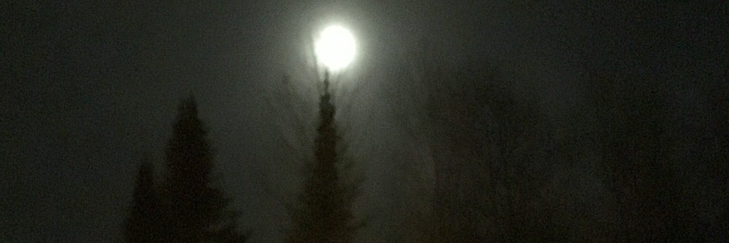 scorpio13moon's profile banner image