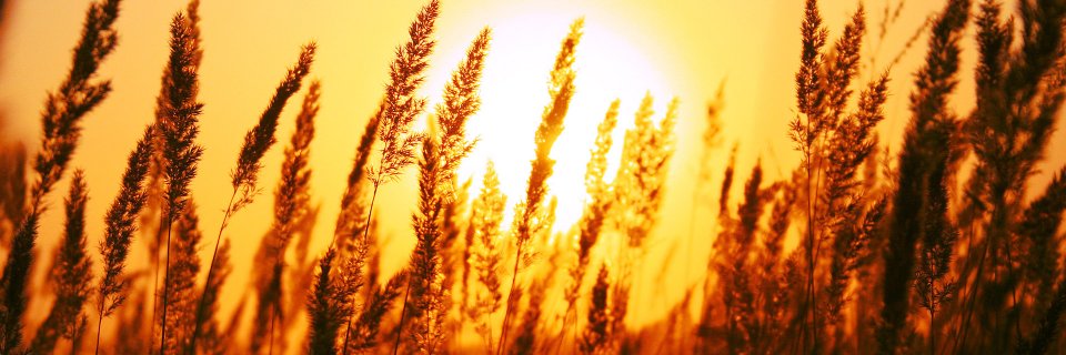 Rakesh_425's profile banner image