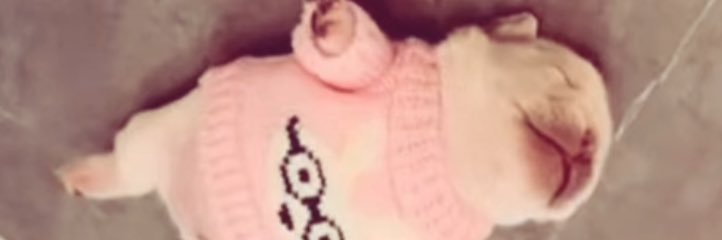 donutCBT's profile banner image