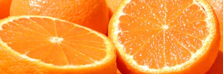 rosejasmin23's profile banner image
