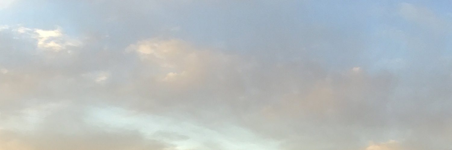 DirtyHillary's profile banner image