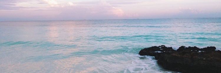 madisonWTMS's profile banner image