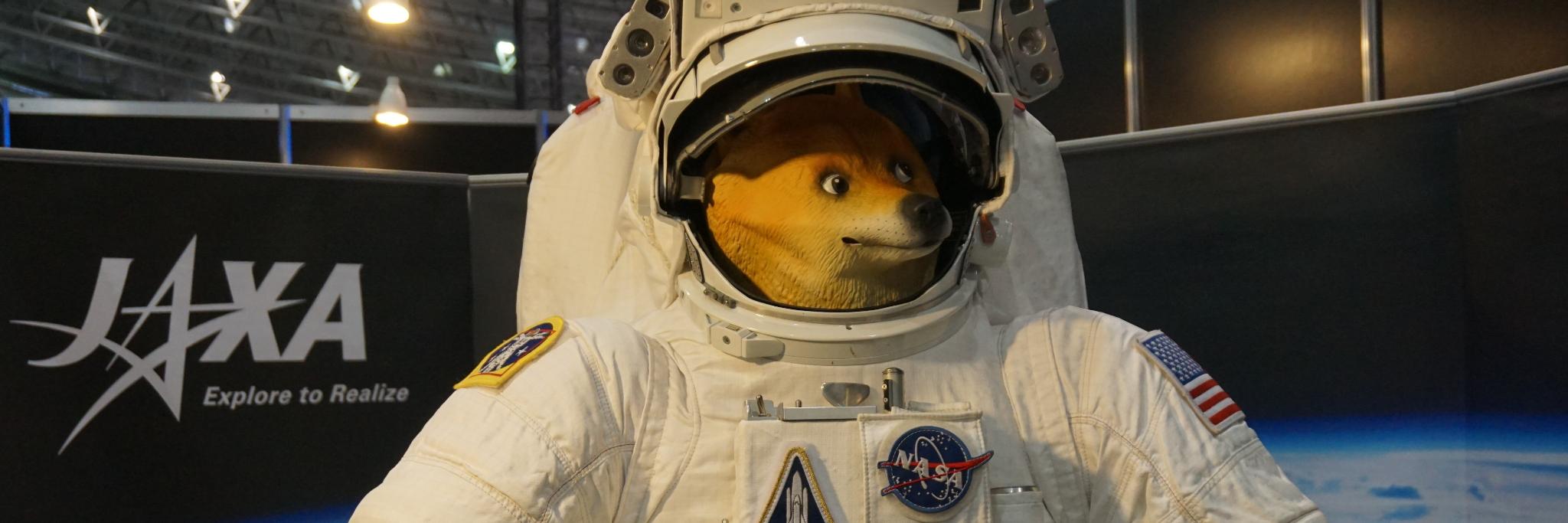 かる🎧Kalud😺 banner