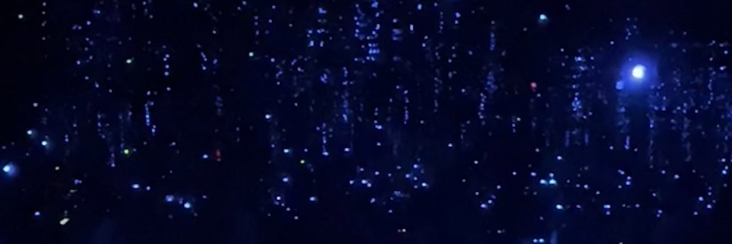 MaddWonderland's profile banner image