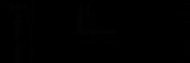 Daniel Schenkel banner