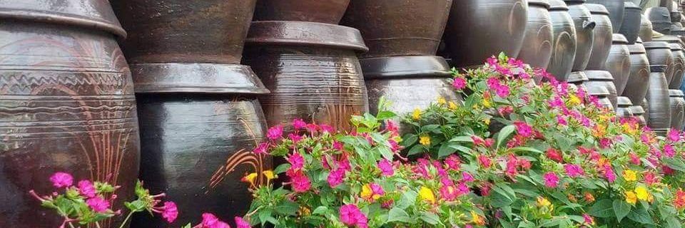 jdchang8's profile banner image