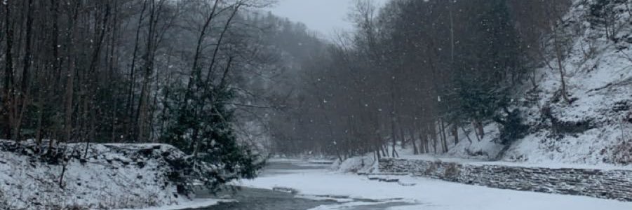 trashmillenial_'s profile banner image