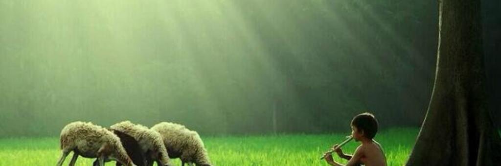 Biruzunlar's profile banner image