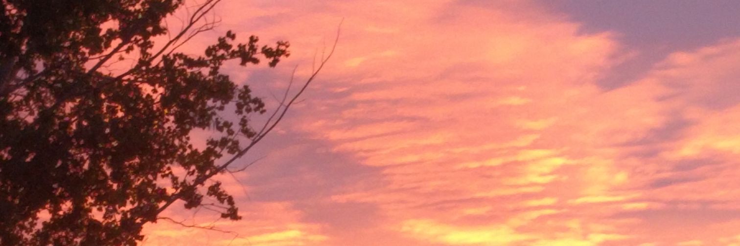Callylet's profile banner image