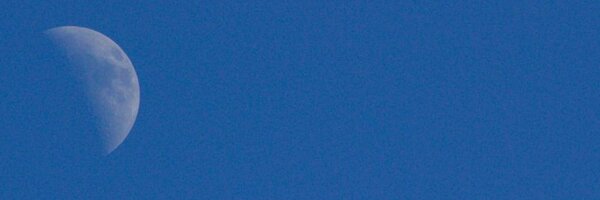 podman Profile Banner